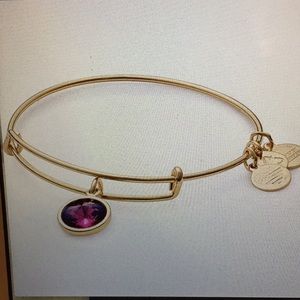 Alex and Ani Aquarius birthstone bracelet